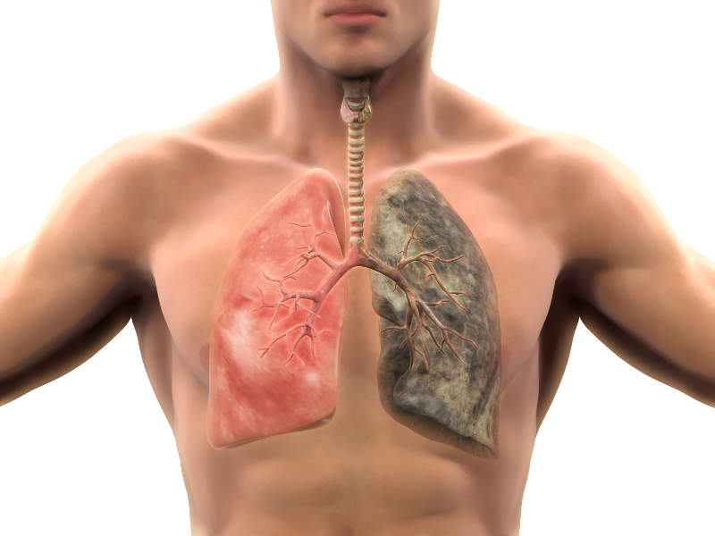 How fast does your body recover after quitting smoking